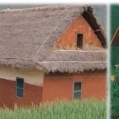 sohan_khatiwada's profile picture. परोपकार पुन्याय: पापाय:परपिडनम।