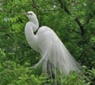 kerala, india