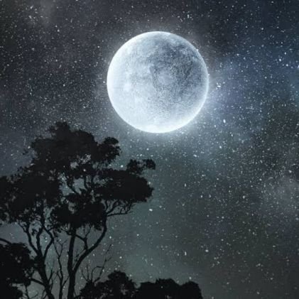 mooningdreamer1's profile picture. Truth and God seeking, conspiracy realist. Exposing evil & corruption in this crazy and beautiful world, so people can fight back for their freedom! 🇦🇺🇺🇸 🌎