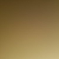 Paypig (@paypig5544) 's Twitter Profile