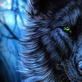 JuniorTilvo's profile picture. We are all fighting our battles even if they are different...