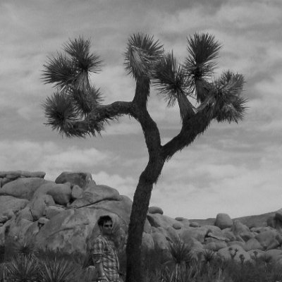 JayCooperX's profile picture. 🚫ICE.  MAGA cultism is a mental illness.