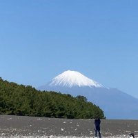 東海大学 静岡キャンパス 演劇研究会 (@tokai_engeki_) 's Twitter Profile