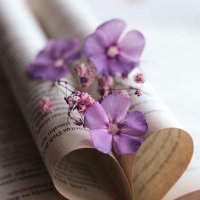 الرضا الرضا (@3eanwkcw2hayaer) 's Twitter Profile
