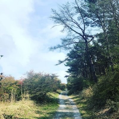 ただジャパニーズでツイットしてて、自己満足してる垢。
無言フォロー、イイね、リツート失礼します。
ゲーム垢:@kazge_nizikano