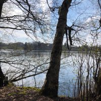 jo gro (@jogro84) Twitter profile photo