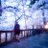 jin_photograph_