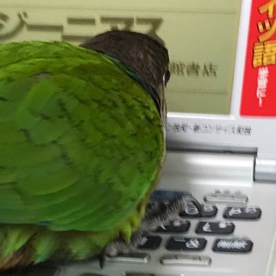 OgsFg3's profile picture. 