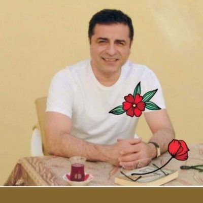 BinVelit1's profile picture. çıkar dünyası