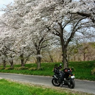 150XxS0RTtPCPcA's profile picture. クロスカブ110と400Xで旅とツーリングしてます。
クロダイをメインに釣りもやります。