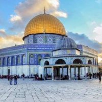 AsMaa Ibrahim (@asmaaib22502336) 's Twitter Profile Photo AsMaa Ibrahim (@asmaaib22502336) 's Twitter Profile Photo