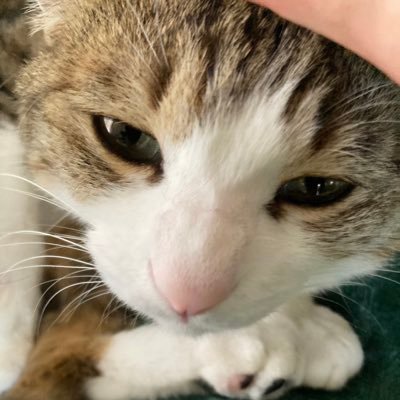 g_tw_ld_eo's profile picture. 