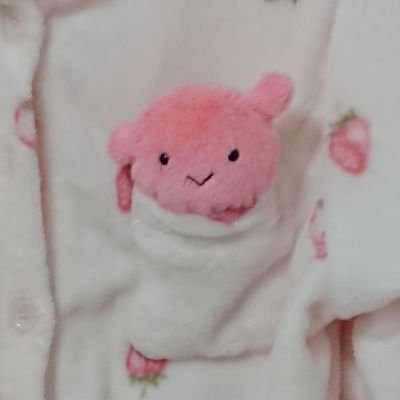 めんちゃらさんのプロフィール画像
