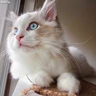 gfdsa98701's profile picture. Life