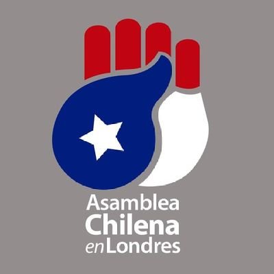 International solidarity to denounce the violation of human rights in Chile /
Solidaridad internacional en rechazo a la violación de DDHH en Chile.