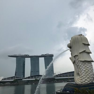 rdvncg's profile picture. 