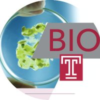 templebio (@temple_bio) 's Twitter Profile