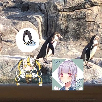 ๖ۣۜღ☪ただのペンギン🐝☪๖ۣۜღさんのプロフィール画像