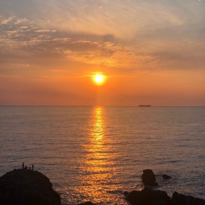 tomahanayuki's profile picture. 