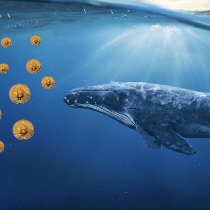 Alt coin & token master🕵️ Airdrop & New gems🚀
Check my surveys...📊
👆not investment advice..
DM for coin promotion 🆙
#bscgems #bscgem #btc #cryptocurrencies