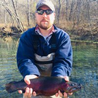 Kelly Fick (@kfick21) 's Twitter Profile