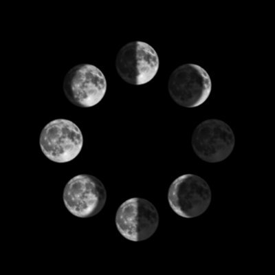 MoonphaseCap's profile picture. Investment, Incubation, Consulting.