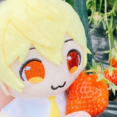 ゆうかさんのプロフィール画像