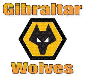 Wolves supporter