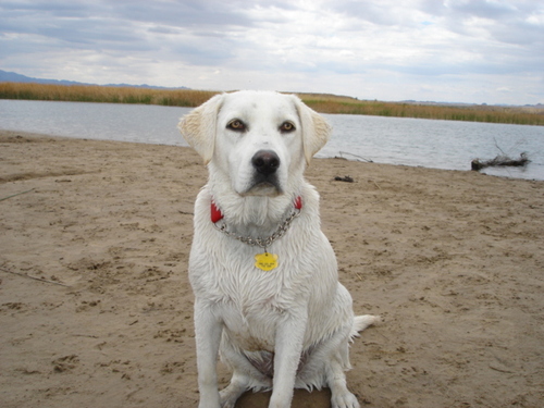 wop_job's profile picture. 