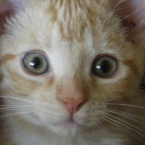 Karla626's profile picture. Nothin to see here. Move along.