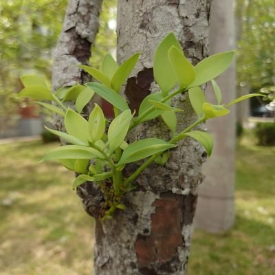 and104000's profile picture. ( ・_・)ノΞ●~*