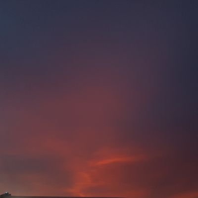 kimpkinlatte's profile picture. Boop~