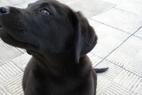 cristinavalente's profile picture. 