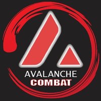 Avalanche Combat (🔺CͣOͮMͣˡBͣᶰAͨTͪᵉ🔺 ) (@avalanchecombat) 's Twitter Profile