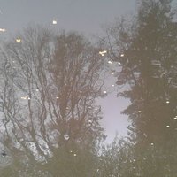 Zanyar Egîd (@egidzanyar) 's Twitter Profile