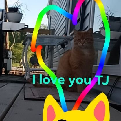 Haden52598274's profile picture. I'm taken