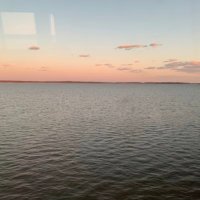 Becca (@beccaw7788) 's Twitter Profile