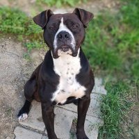 malisndkc (@malisndkc) 's Twitter Profile