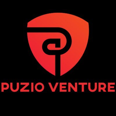 Puzio Venture is a rising blockchain investment firm based out of California.