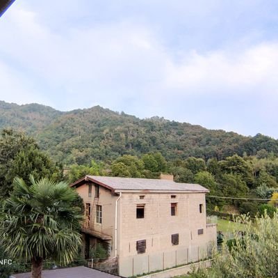 Nelisuper2's profile picture. 