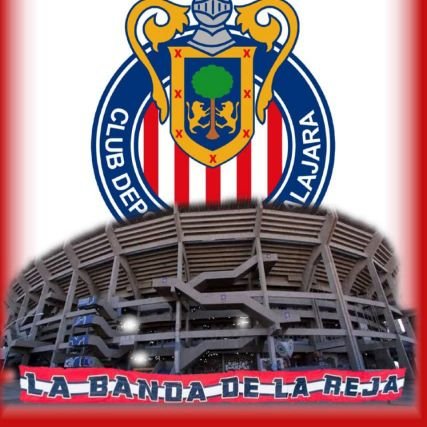 de chivas aoy