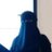 KhadarFatima's profile image