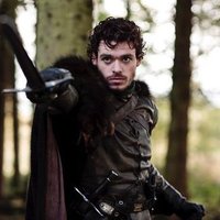 Robb Stark (Parody Account) (@kingofwolves__) 's Twitter Profile