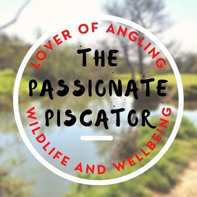 Lover of fishing and promoter of peace of mind. Coarse fish angler with a penchant for getting back to basics, and under appreciated fish species