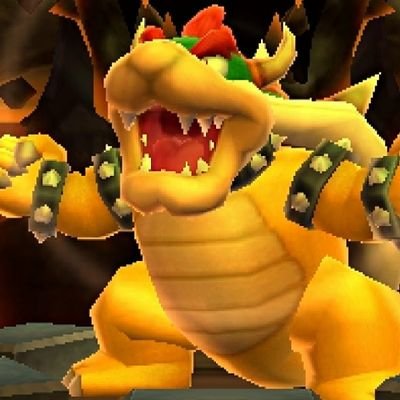 Bowser Fan64