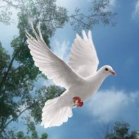hm.ummohammad أم محمد (@hmummohammad) 's Twitter Profile