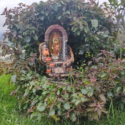 joseldiazl's profile picture. Luchar por tus sueños