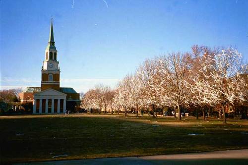 Hoping Wake Forest wins the NCAA Tournament before I die.