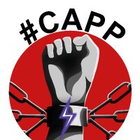 Collectif #CAPP(@capp_radfem_) 's Twitter Profile Photo