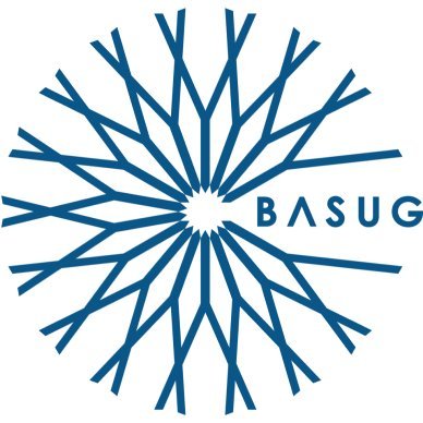 BostonAreaSUG Profile Picture